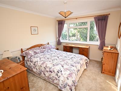 Picture 8